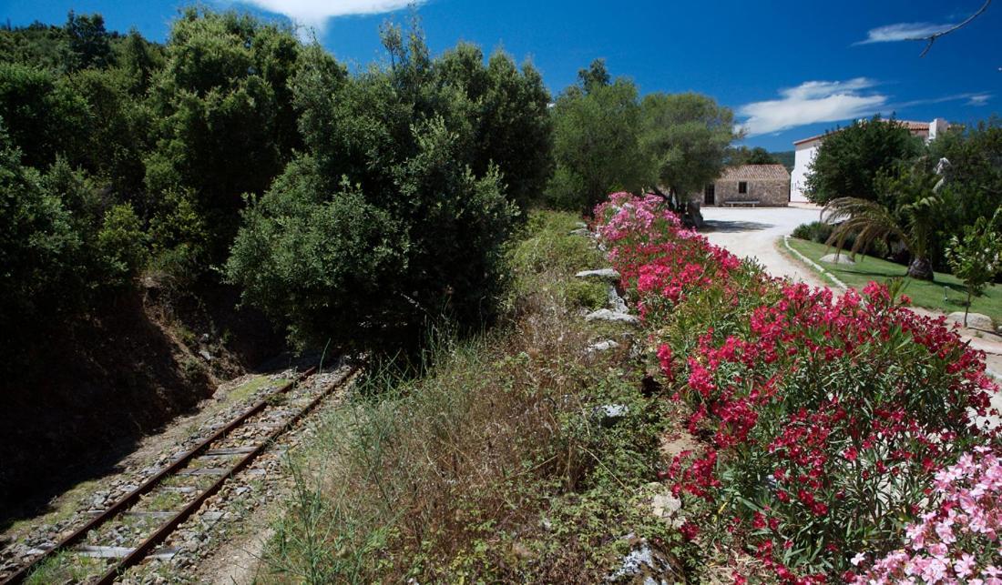 Hotel Valkarana Country Relais (Adults Only) Sant'Antonio di Gallura Exterior foto